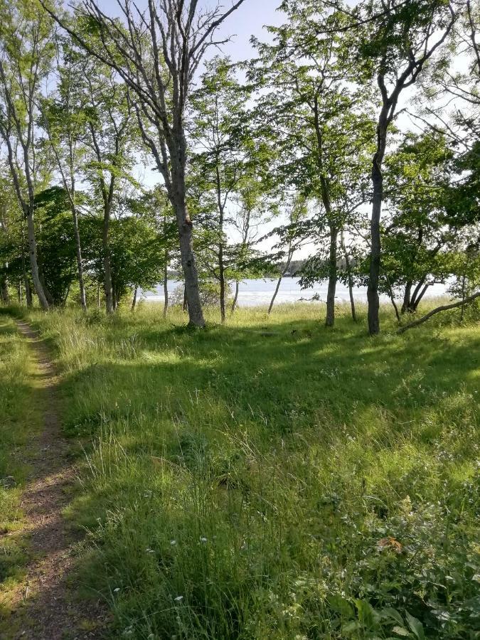 Jomala Mysig Stuga Nara Havet Och Naturreservat المظهر الخارجي الصورة